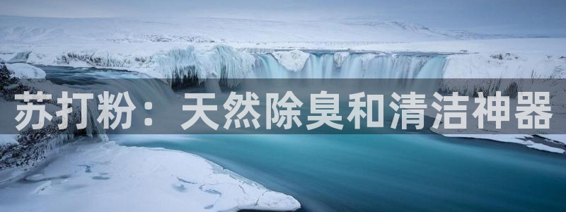 尊龙app登录不了：苏打粉：天然除臭和清洁神器