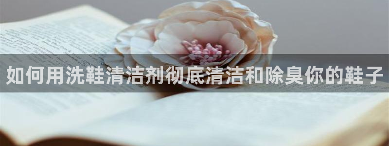 尊龙凯时只输不赢