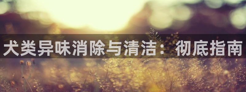尊龙网站注册网：犬类异味消除与清洁：彻底指南