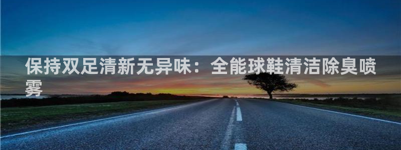 z6尊龙z6