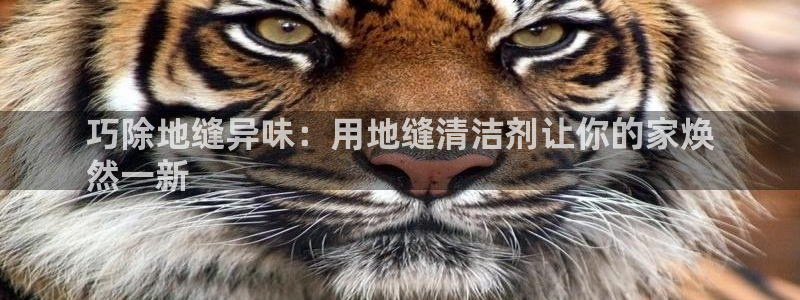 尊龙凯时代理