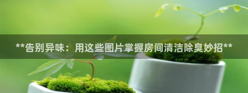 尊龙凯时官方网页