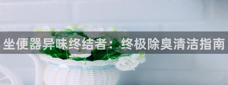 尊龙凯时网站赌愽做假吗：坐便器异味终结者：终极除臭清洁指