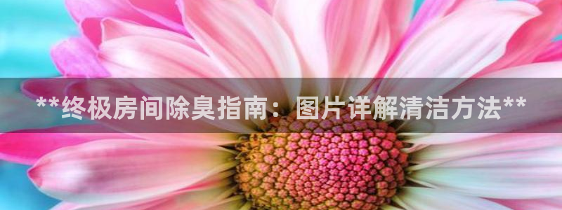 尊龙凯时老板