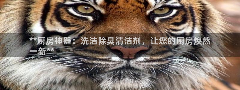 凯时k66官方发布