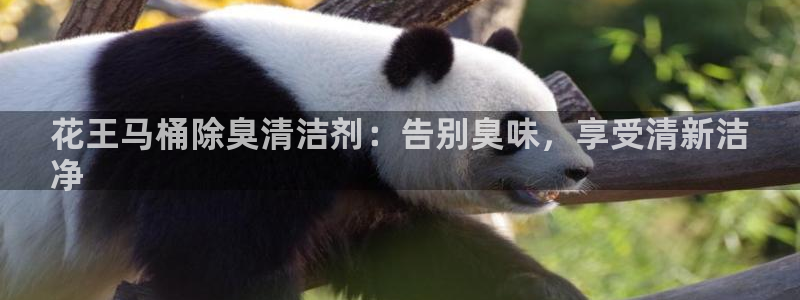 尊龙ag旗舰厅登陆