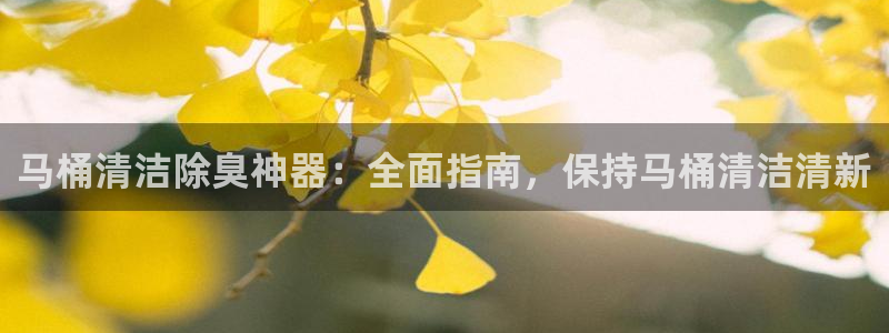 尊龙凯时发展历程