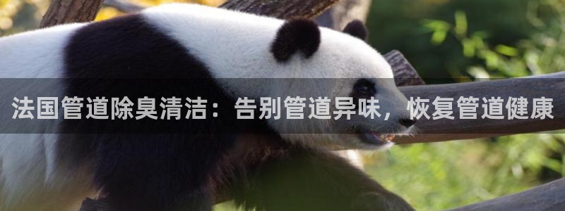 z6com尊龙凯时百家乐