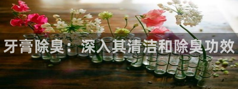 尊龙科技