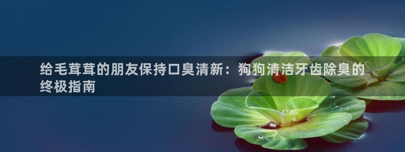 凯时效果怎么样