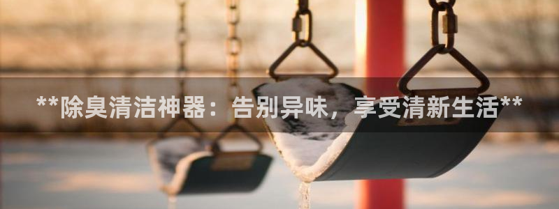 尊龙凯时泰安：**除臭清洁神器：告别异味，享受清新生活*