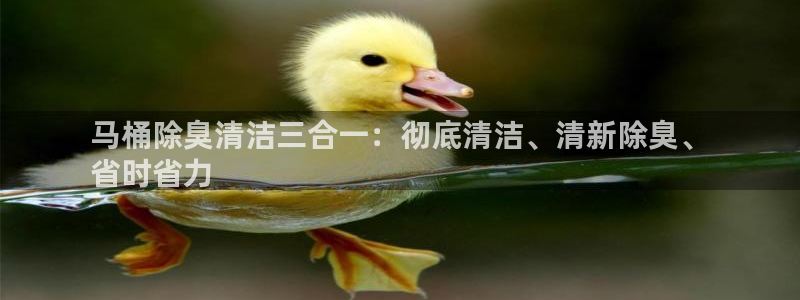 尊龙人生就是博网站下载：马桶除臭清洁三合一：彻底清洁、清