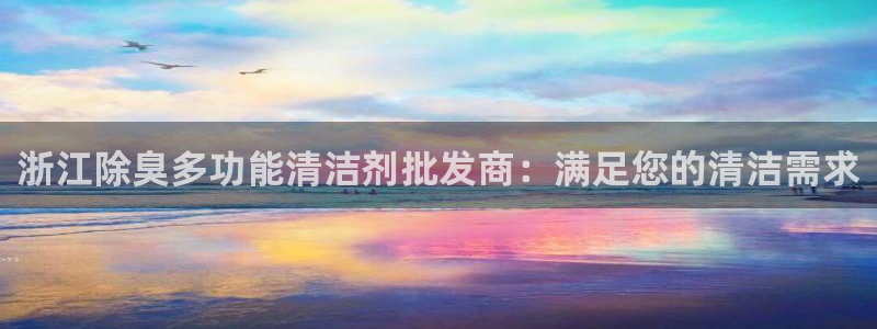 尊龙手机端下载：浙江除臭多功能清洁剂批发商：满足您的清洁