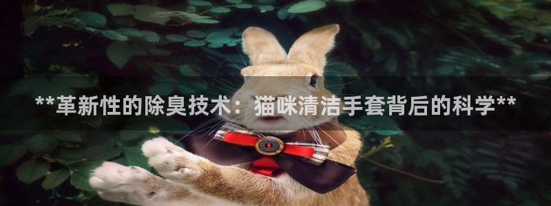 尊龙人生就是博旧版手机可靠送38元
