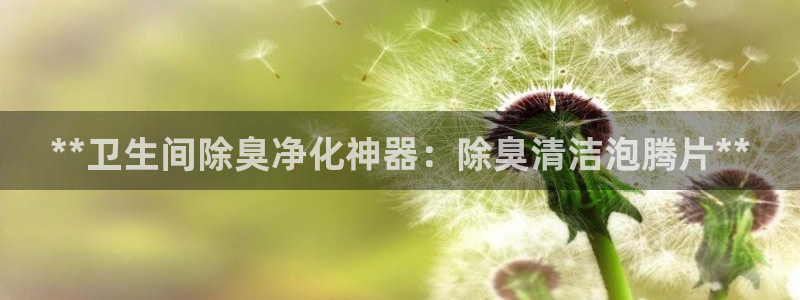 尊龙凯时正规吗：**卫生间除臭净化神器：除臭清洁泡腾片*