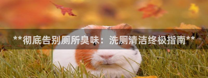 尊龙ag旗舰官网
