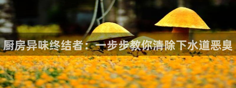 尊龙人生就是博手机版下载