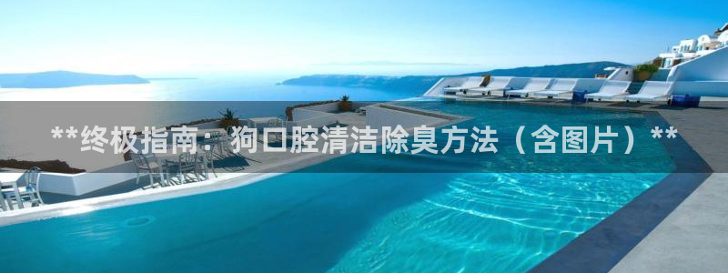 尊龙手机客户端app
