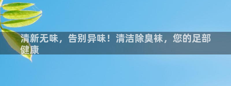 尊龙人生就是博旧版：清新无味，告别异味！清洁除臭袜，您的