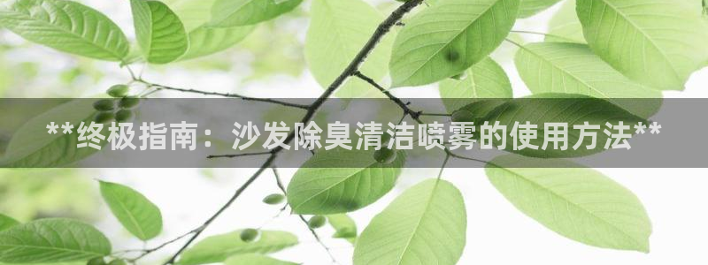 怎样能成为尊龙凯时平台的会员：**终极指南：沙发除臭清洁