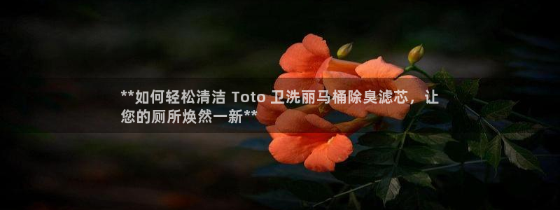 尊龙新版手机app下载：**如何轻松清洁 Toto 卫洗