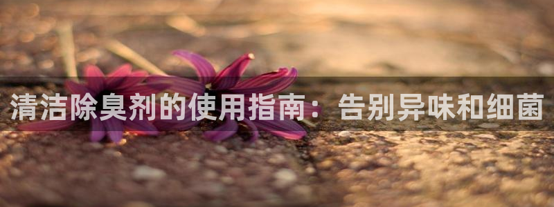尊龙手机版：清洁除臭剂的使用指南：告别异味和细菌