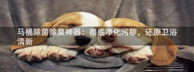 尊龙凯时网站首页手机登录：马桶除菌除臭神器：彻底净化污秽