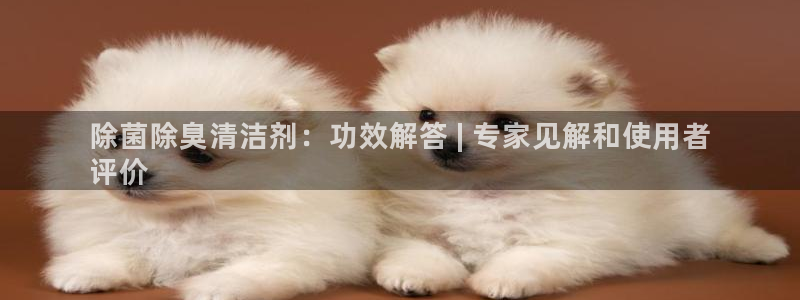 凯时k8官网首页