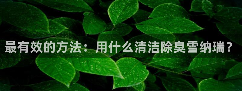 尊龙凯时品牌介绍：最有效的方法：用什么清洁除臭雪纳瑞？