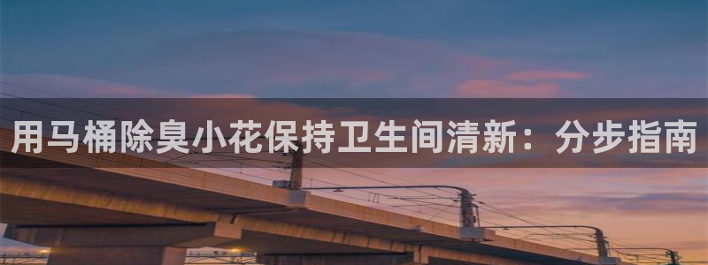 尊龙凯时是大平台吗：用马桶除臭小花保持卫生间清新：分步指