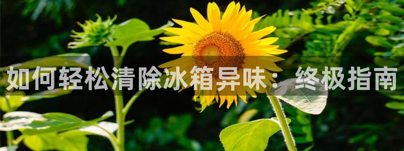 尊龙凯时的最新消息：如何轻松清除冰箱异味：终极指南