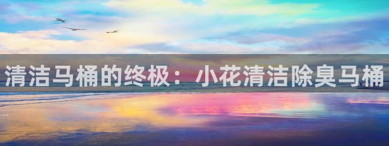 凯时kb88会员登录：清洁马桶的终极：小花清洁除臭马桶