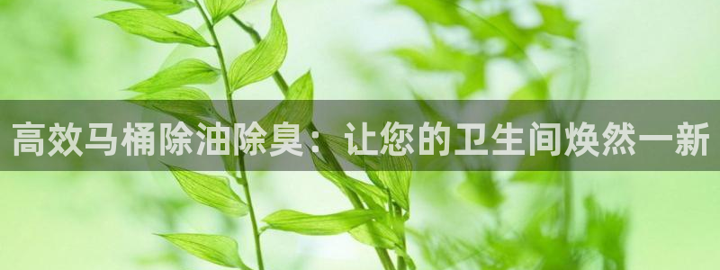 凯时K66最新版本下载：高效马桶除油除臭：让您的卫生间焕