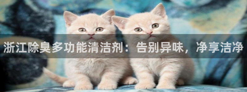 尊龙网站手机下载：浙江除臭多功能清洁剂：告别异味，净享洁