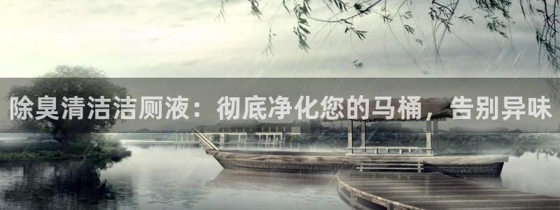 尊龙负面新闻：除臭清洁洁厕液：彻底净化您的马桶，告别异味