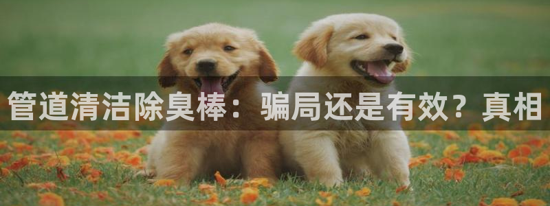 尊龙165：管道清洁除臭棒：骗局还是有效？真相