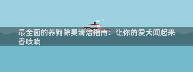 尊龙凯时是赌博嘛：最全面的养狗除臭清洁指南：让你的爱犬闻