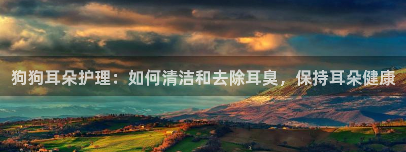 尊龙物流怎么样：狗狗耳朵护理：如何清洁和去除耳臭，保持耳