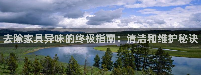尊龙app最新版本官网：去除家具异味的终极指南：清洁和维