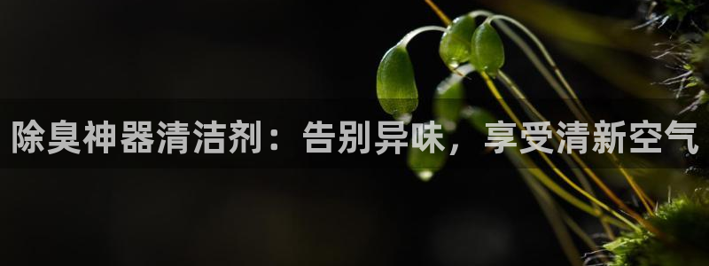 尊龙凯时贴吧