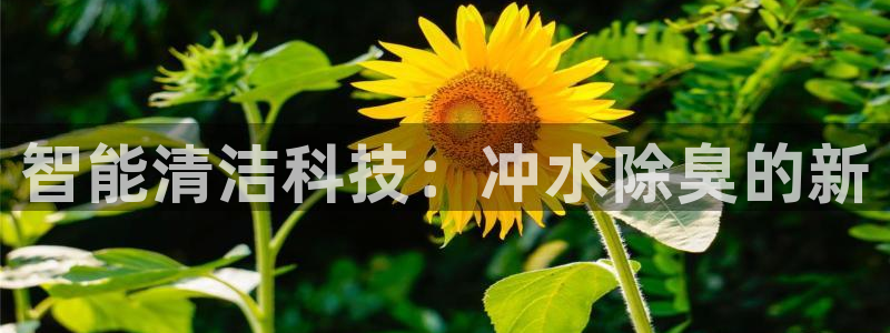 尊龙官方网站最新版V9.3.06介绍