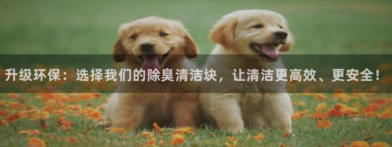 尊龙网址是多少