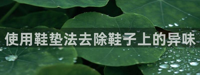 尊龙旗舰厅