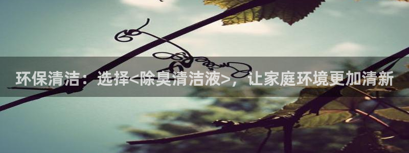 尊龙体育电竞官网