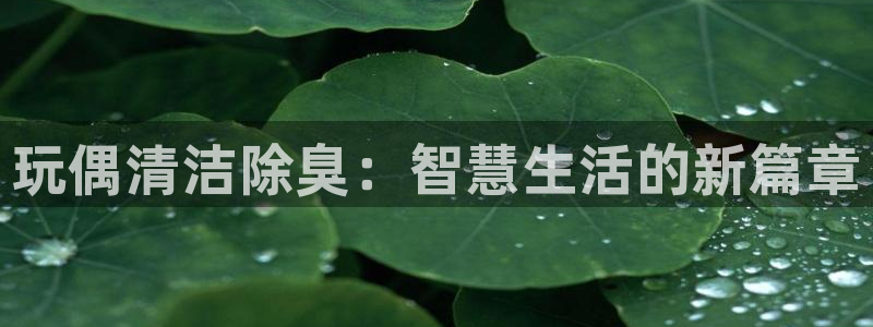 尊龙网平台