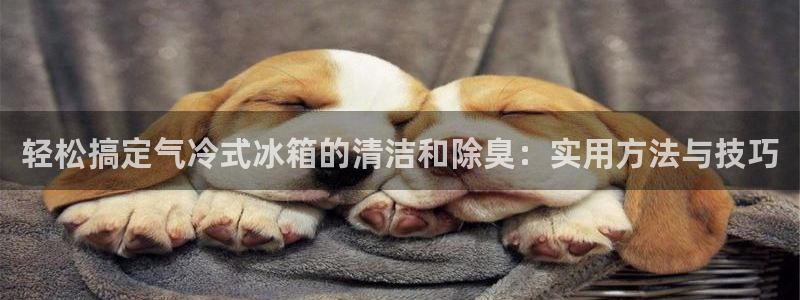 尊龙凯时·中国官方网站