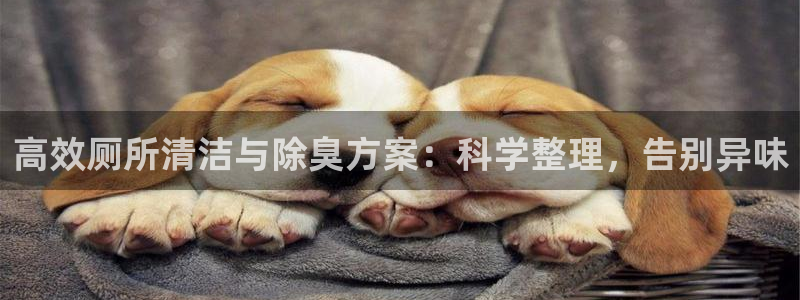 Z6尊龙凯时登录