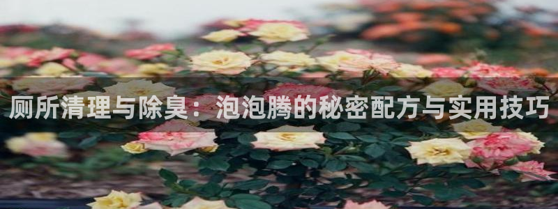 凯时网址多少