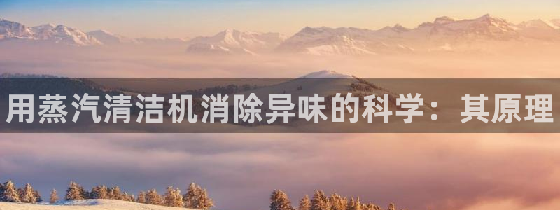 尊龙凯时取款有要求吗：用蒸汽清洁机消除异味的科学：其原理