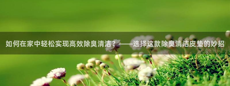 尊龙凯时存款多久到账